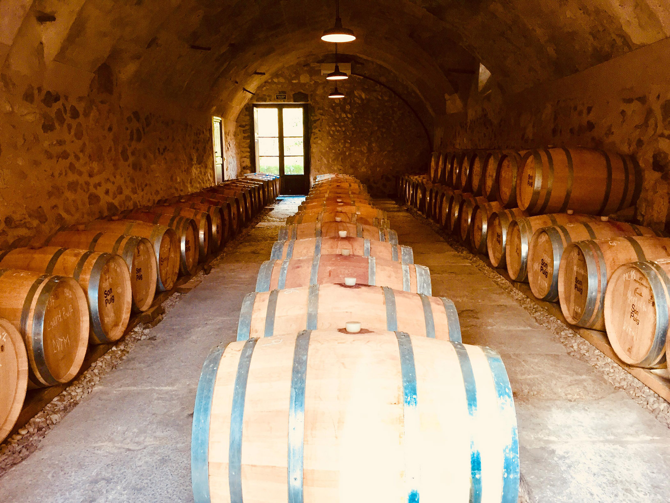 Bodegas Son Puig (Puigpunyent - 1999)