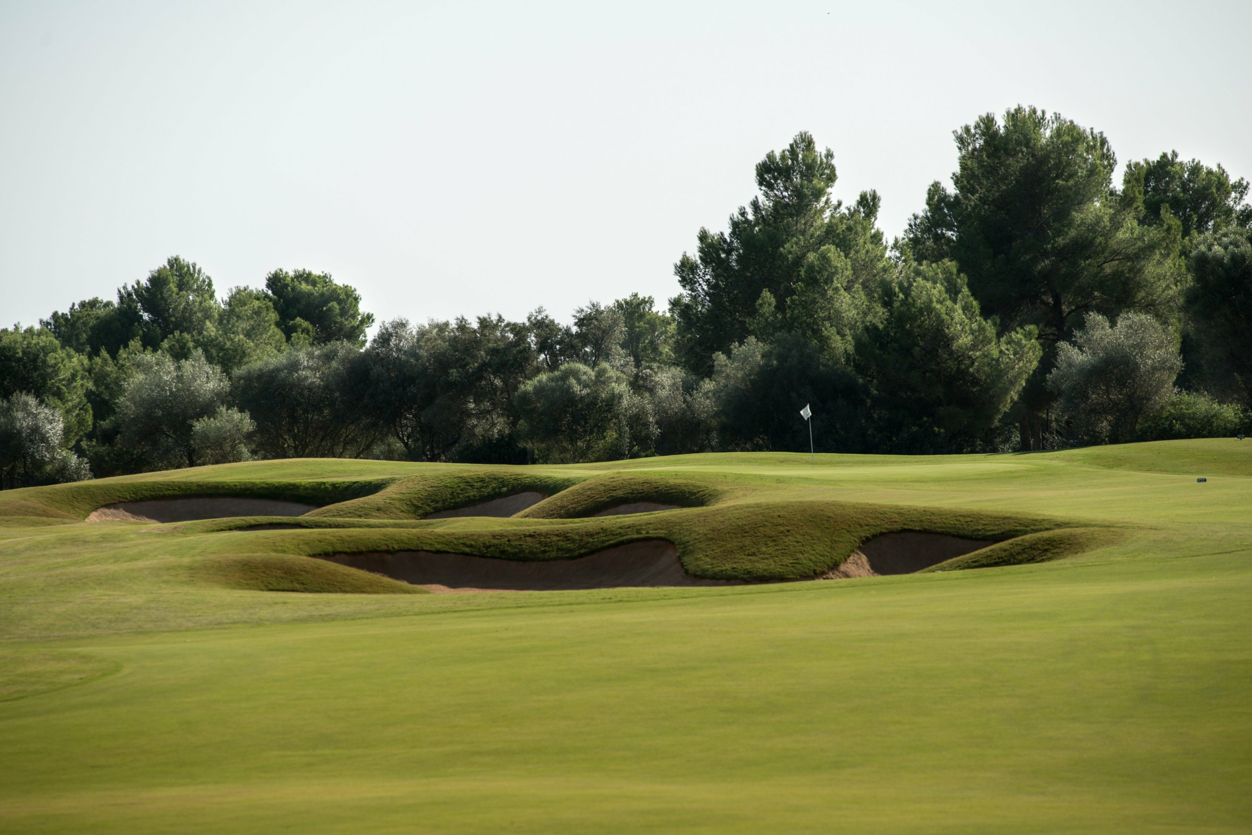 T Golf Palma Puntiró